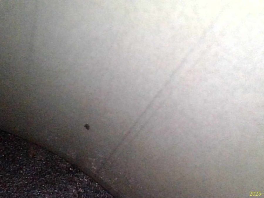 1190105902 11998212 1190102750 | Mercedes SL500 | R129 M119.982.12 engine 1190105902 11998212 1190102750 | Mercedes SL500 | R129 M119.982.12 engine