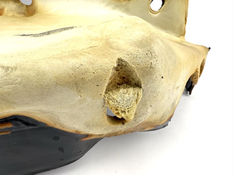 1296821428 1296822228 | Mercedes SL500 | R129 Insulation fire wall right side 1296821428 1296822228 | Mercedes SL500 | R129 Insulation fire wall right side