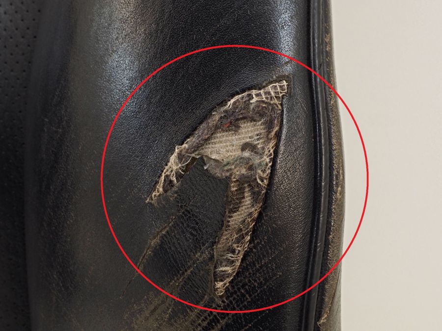 1409100216 1409100534 1409100932 | Mercedes S350 | W140 Left seat backrest