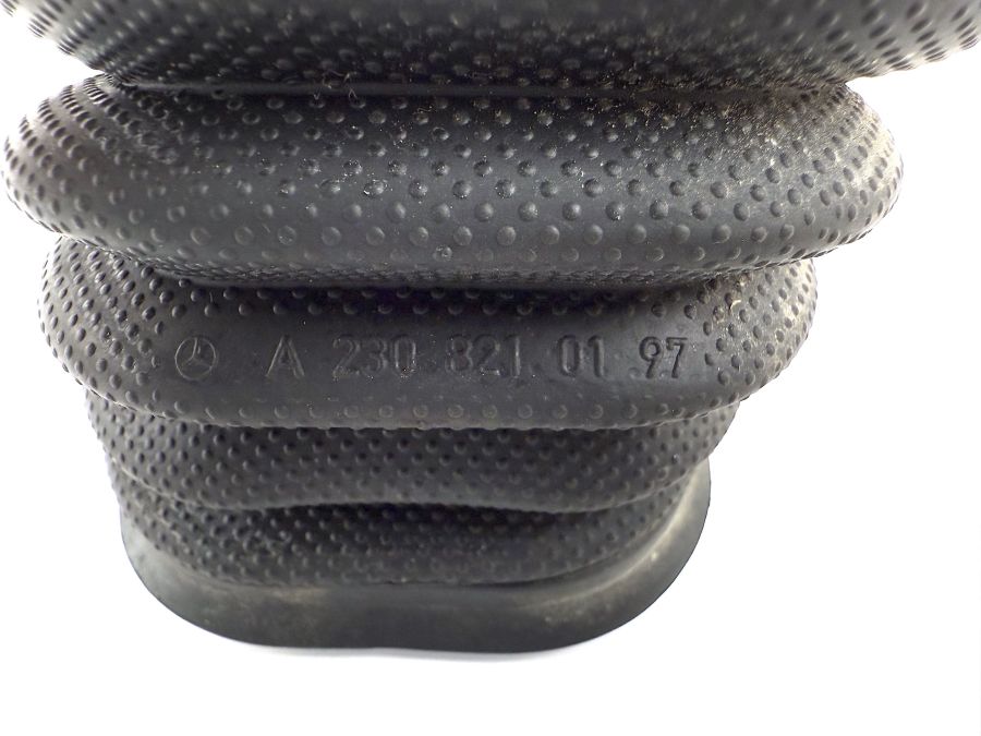 2308210197 | Mercedes SL500 | R230 Door wires protector